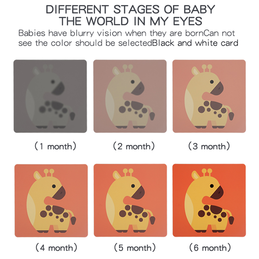 Kartu stimulasi Visual bayi mo - Baby Food Eat ulasan dan harga