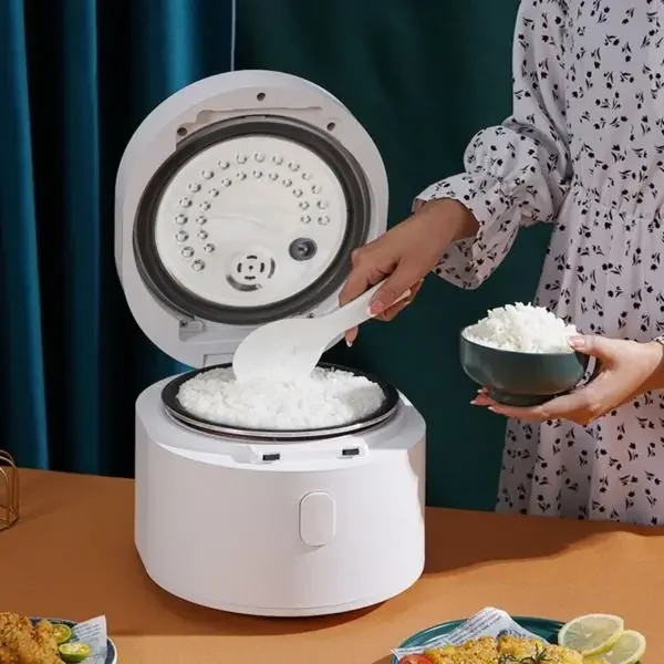 Penanak Nasi Pintar 110v 3L, A - Baby Food In Japan ulasan dan harga